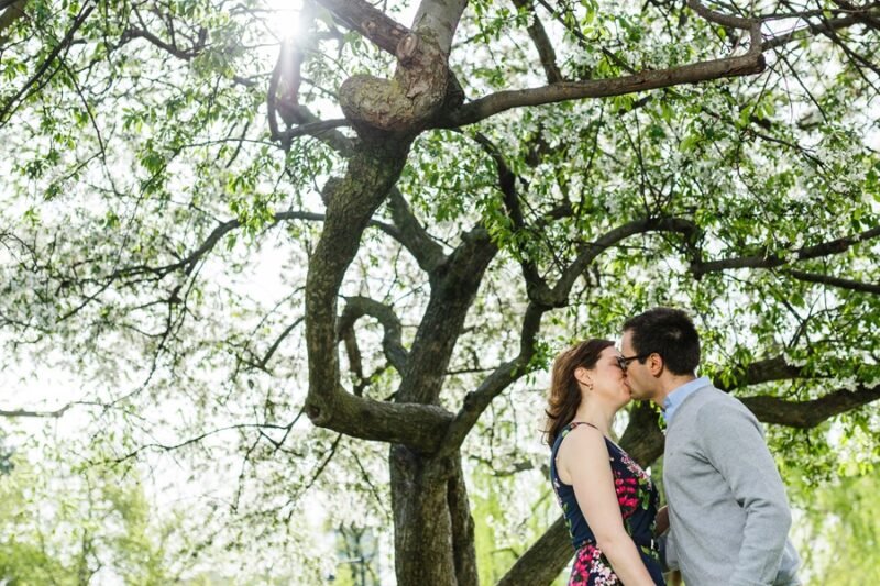 Boston, Engagement Session, Reiman Photography, Public Garden