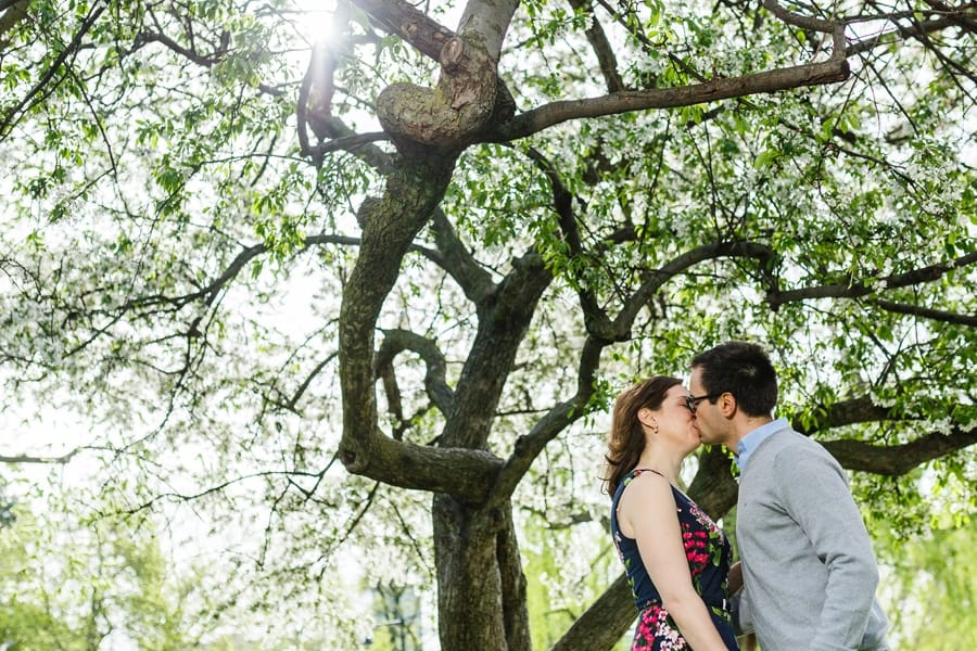 Boston, Engagement Session, Reiman Photography, Public Garden