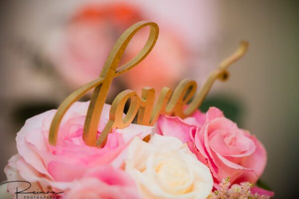 Wedding, Harding Allen Estate, Reiman Photography, Elegant, Summer