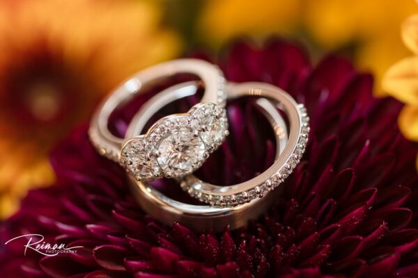 Pinecroft Estate Wedding, Reiman Photography, Wedding