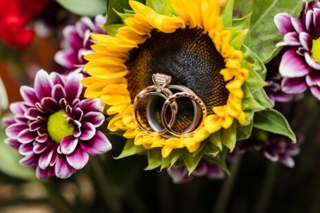 Summer Wedding, Colonial Hotel Wedding, Colonial Hotel, Reiman Photography, Worcester Wedding Photography, Boston Wedding Photographer, Gardner Wedding Photographer